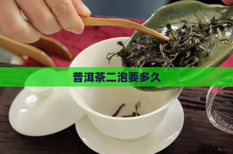 普洱茶二泡要多久