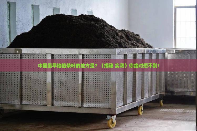 中国最早培植茶叶的地方是