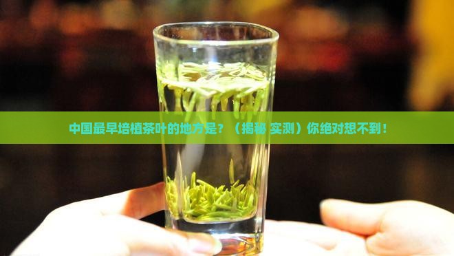 中国最早培植茶叶的地方是