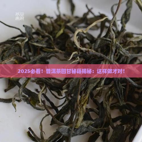 普洱茶怎么才能有回甘