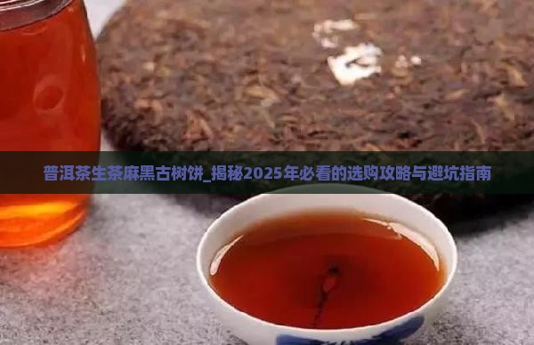 普洱茶生茶麻黑古树饼