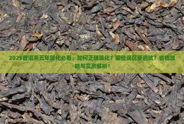 普洱茶五年陈化