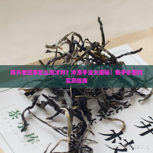 陈升老班章冲泡手法