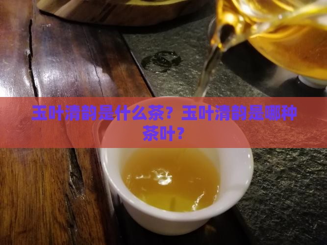 玉叶清韵是什么茶