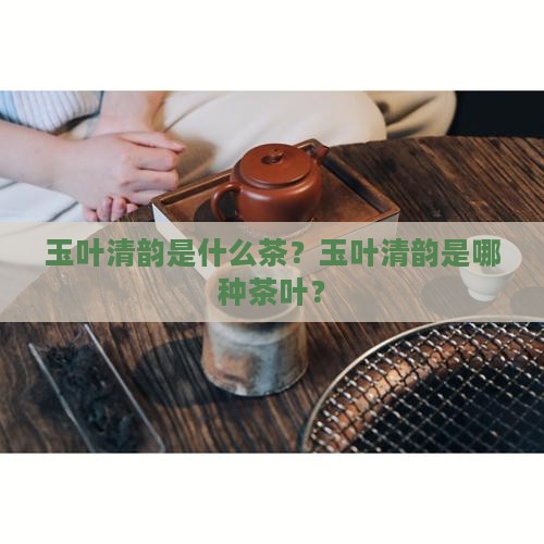 玉叶清韵是什么茶