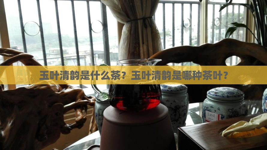 玉叶清韵是什么茶