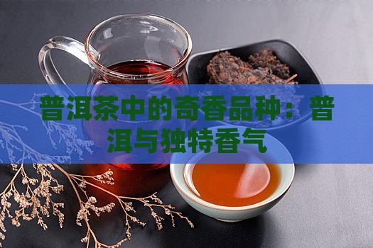 普洱茶中的奇香品种