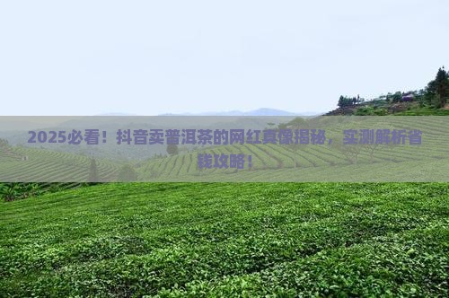 抖音卖普洱茶的网红有哪些