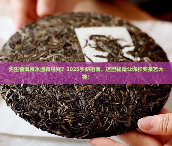 泡生普洱茶的水的温度