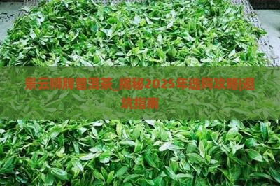景云狮牌普洱茶