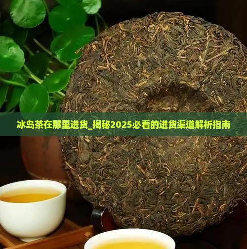 冰岛茶在那里进货