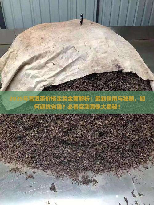 今年普洱茶价格走势