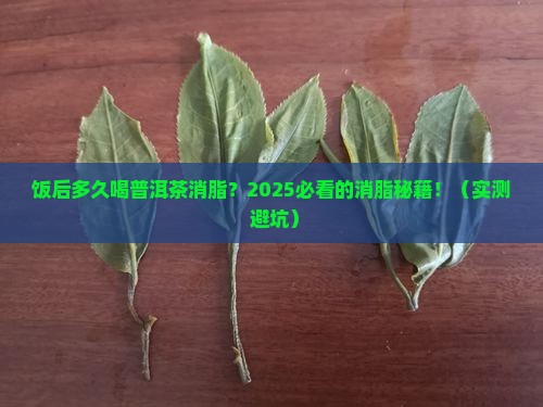 饭后多久喝普洱茶消脂