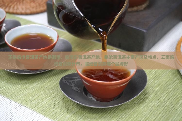 正宗临沧普洱茶产地