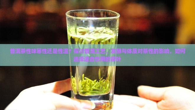 普洱性温还是性寒