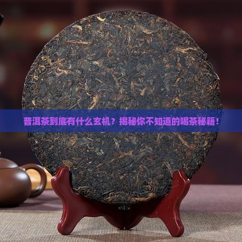 普洱茶小知识讲解