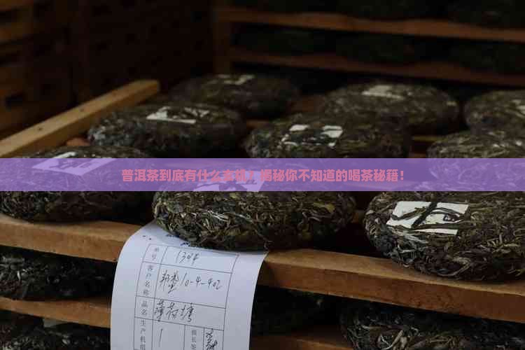 普洱茶小知识讲解