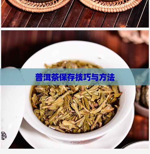 普洱茶的怎么保存