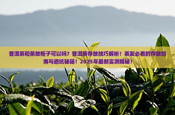 普洱茶和茶放柜子可以吗