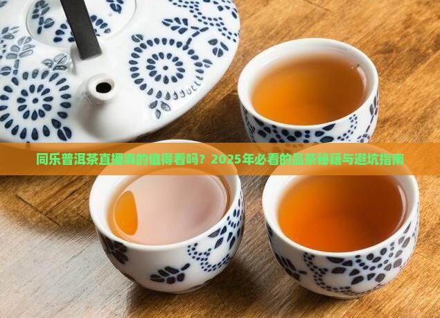 同乐普洱茶直播