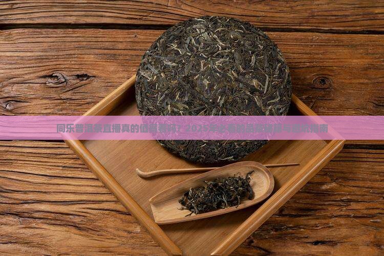 同乐普洱茶直播