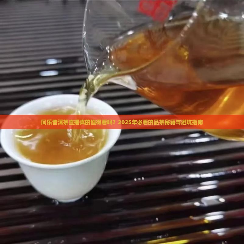 同乐普洱茶直播