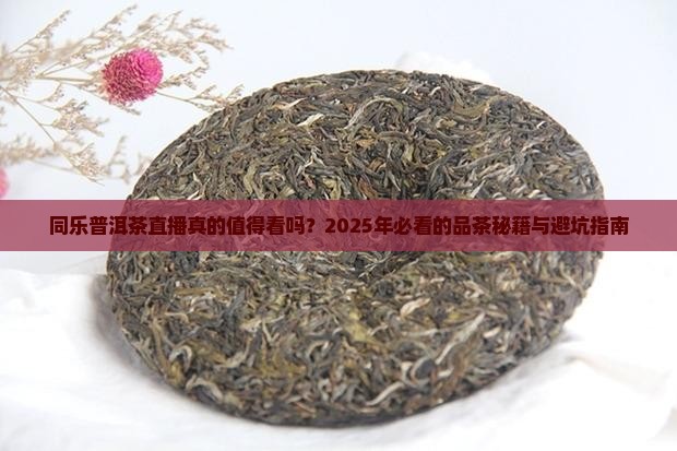 同乐普洱茶直播