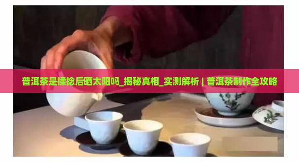 普洱茶是揉捻后晒太阳吗