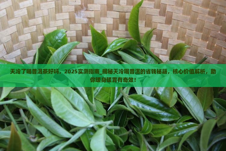 天冷了喝普洱茶好吗