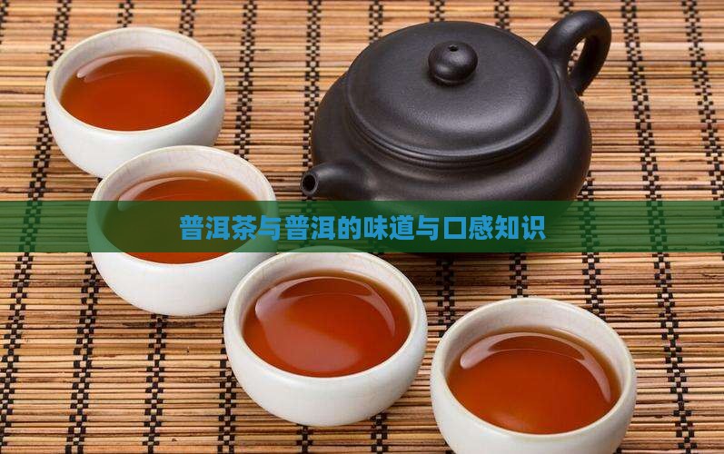 关于普洱茶口味的知识
