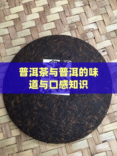 关于普洱茶口味的知识
