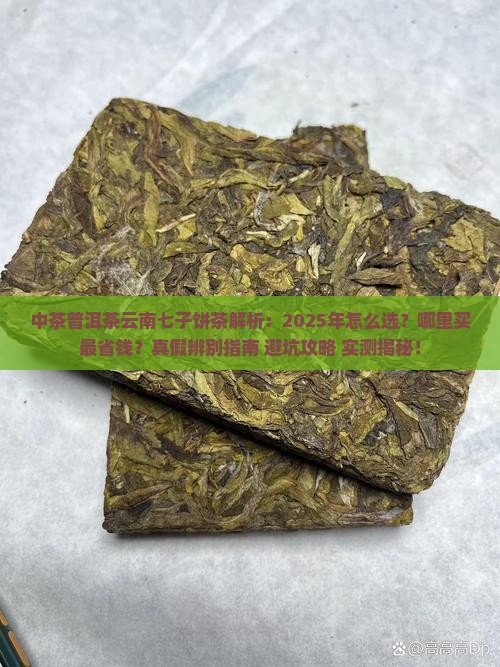 中茶普洱茶云南七子饼茶