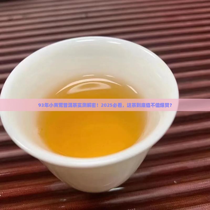93年的小黄莺普洱茶