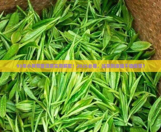 93年的小黄莺普洱茶
