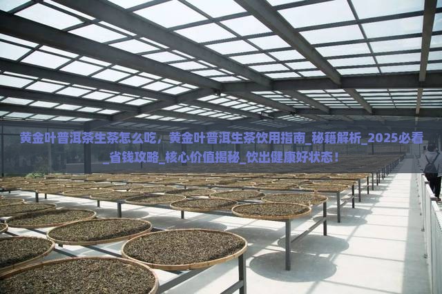 黄金叶普洱茶生茶怎么吃