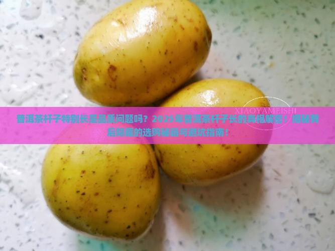 普洱茶杆子特别长