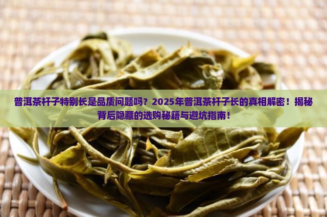 普洱茶杆子特别长