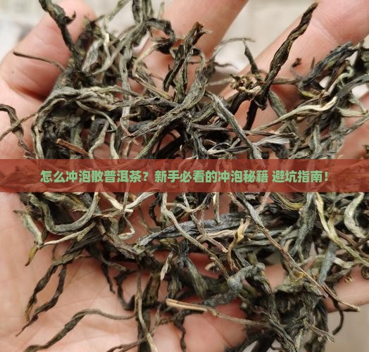 怎样冲泡散普洱茶