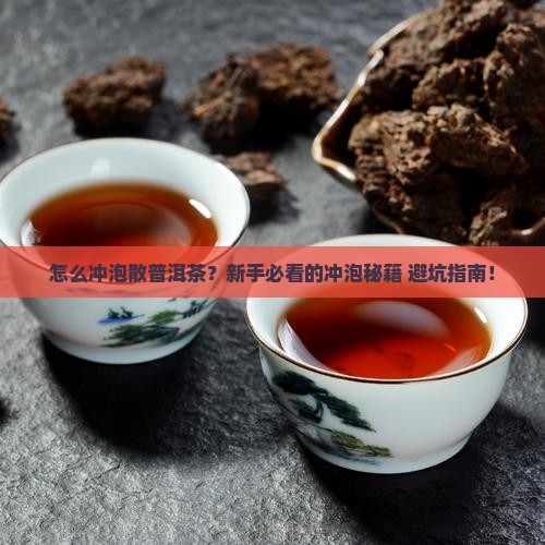 怎样冲泡散普洱茶