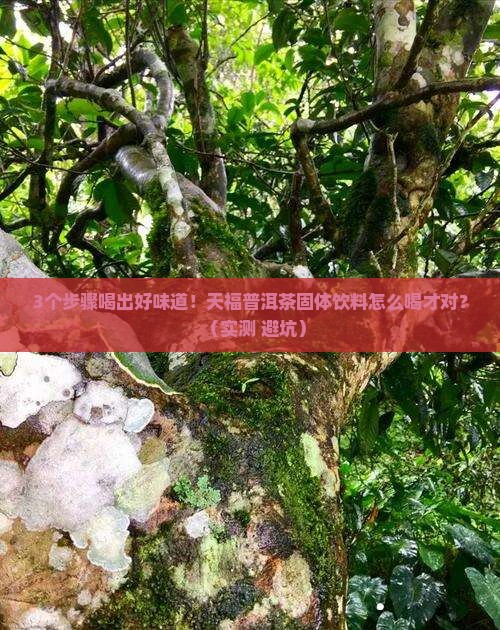 天福普洱茶固体饮料怎么喝