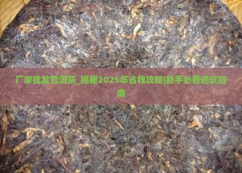 厂家批发普洱茶
