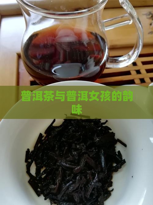 版纳普洱茶女孩