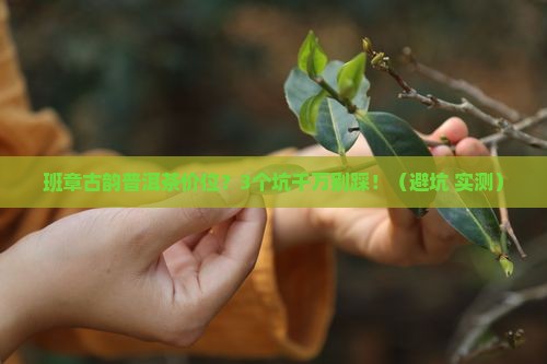 班章古韵普洱茶价位