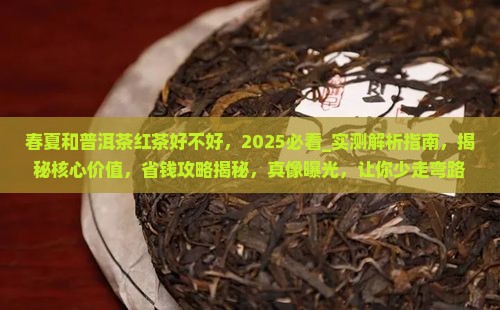 春夏和普洱茶红茶好不好