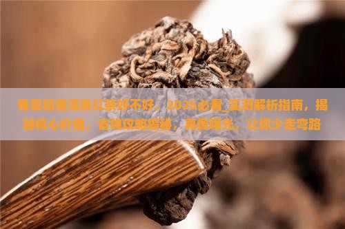 春夏和普洱茶红茶好不好