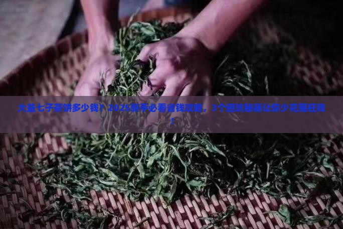大益七子茶饼多少钱