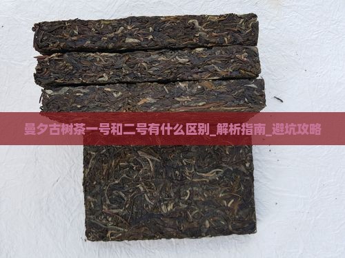 曼夕古树茶一号和二号有什么区别