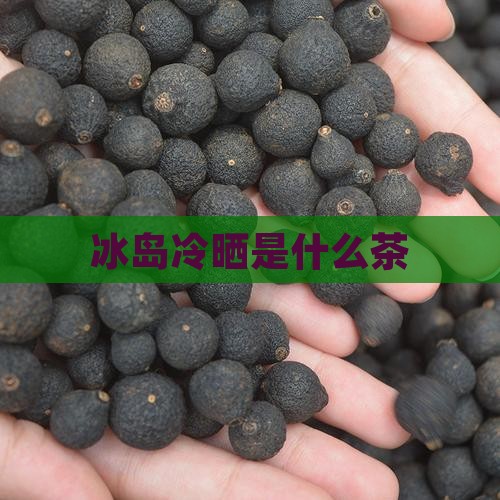 冰岛冷晒是什么茶