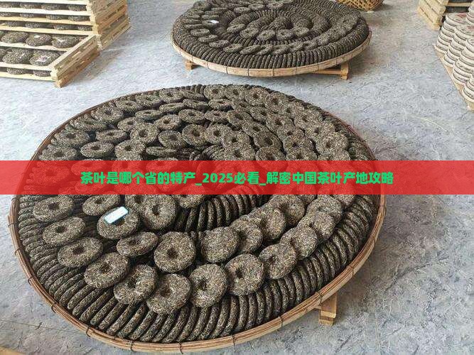 茶叶是哪个省的特产