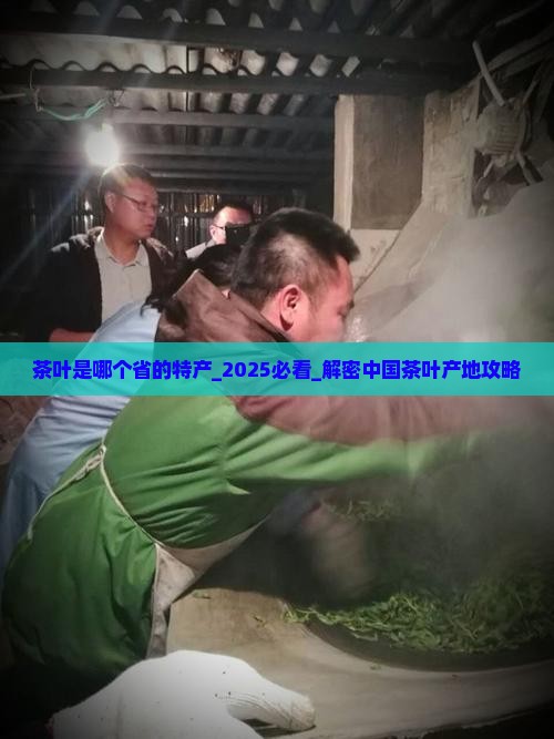 茶叶是哪个省的特产